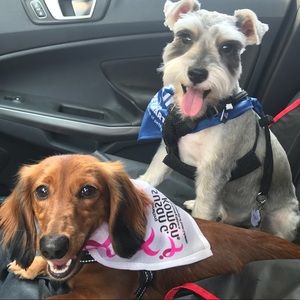 Meet your Posher, Tonya